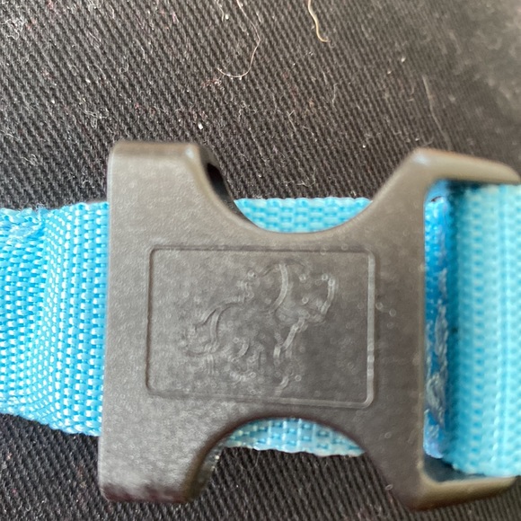 New LED Blue Dog Collar– Solid or Flashing Dog Collar- Size Large - Picture 4 of 11